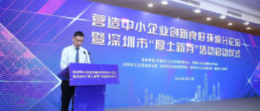 公司动态|深圳让我们充分释放出创新创造的潜力